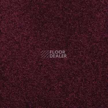Ковровая плитка Modulyss Cambridge Xtra 45 f фото 1 | FLOORDEALER